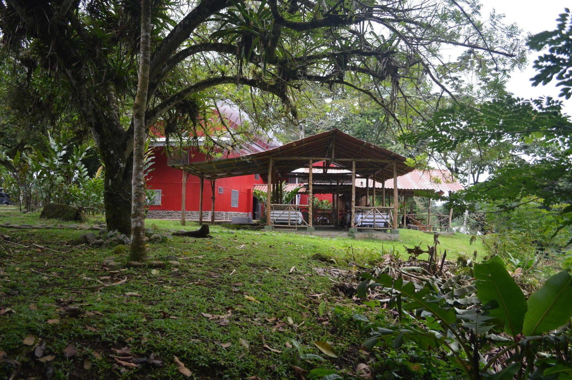 Islas Del Rio Hostel Tirimbina 外观 照片
