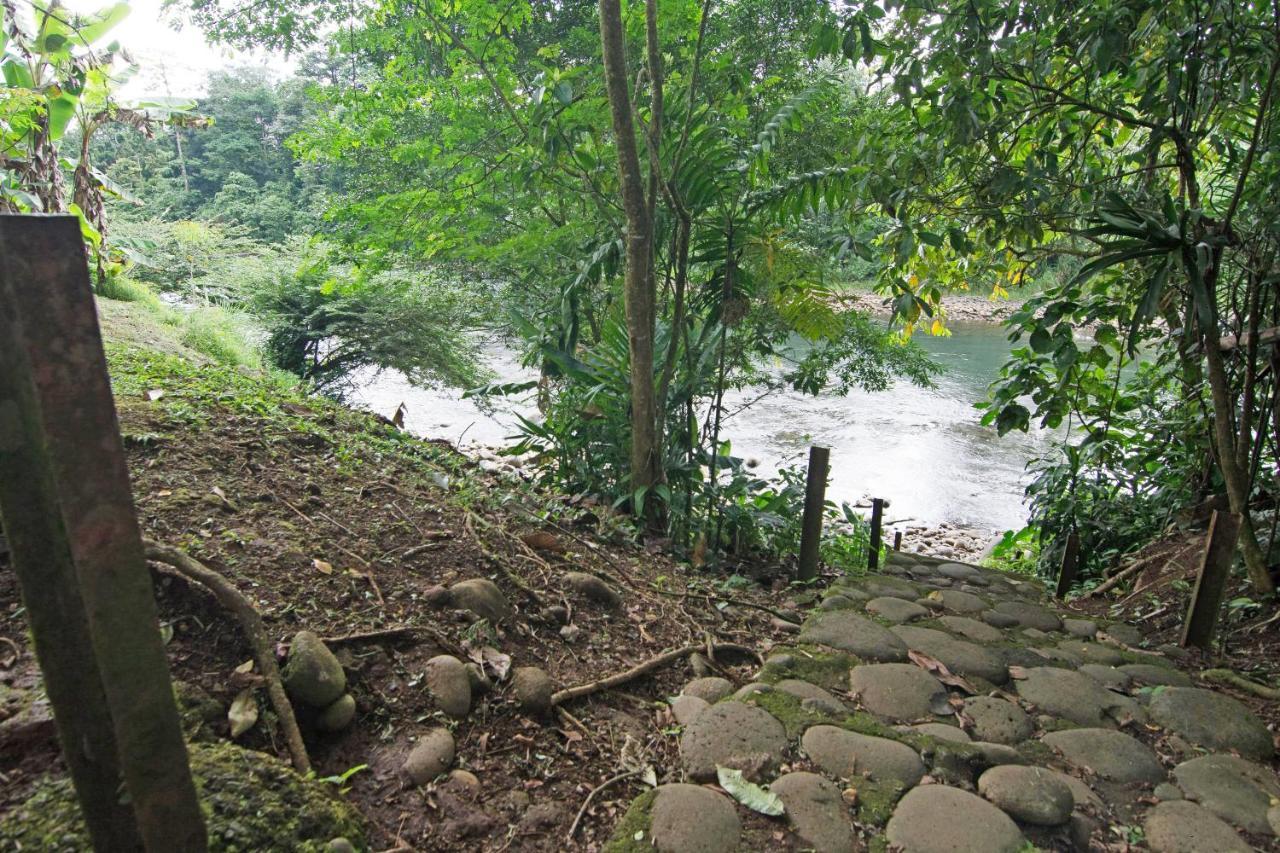Islas Del Rio Hostel Tirimbina 外观 照片