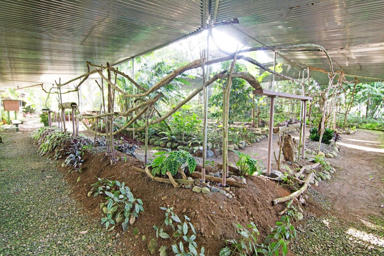 Islas Del Rio Hostel Tirimbina 外观 照片