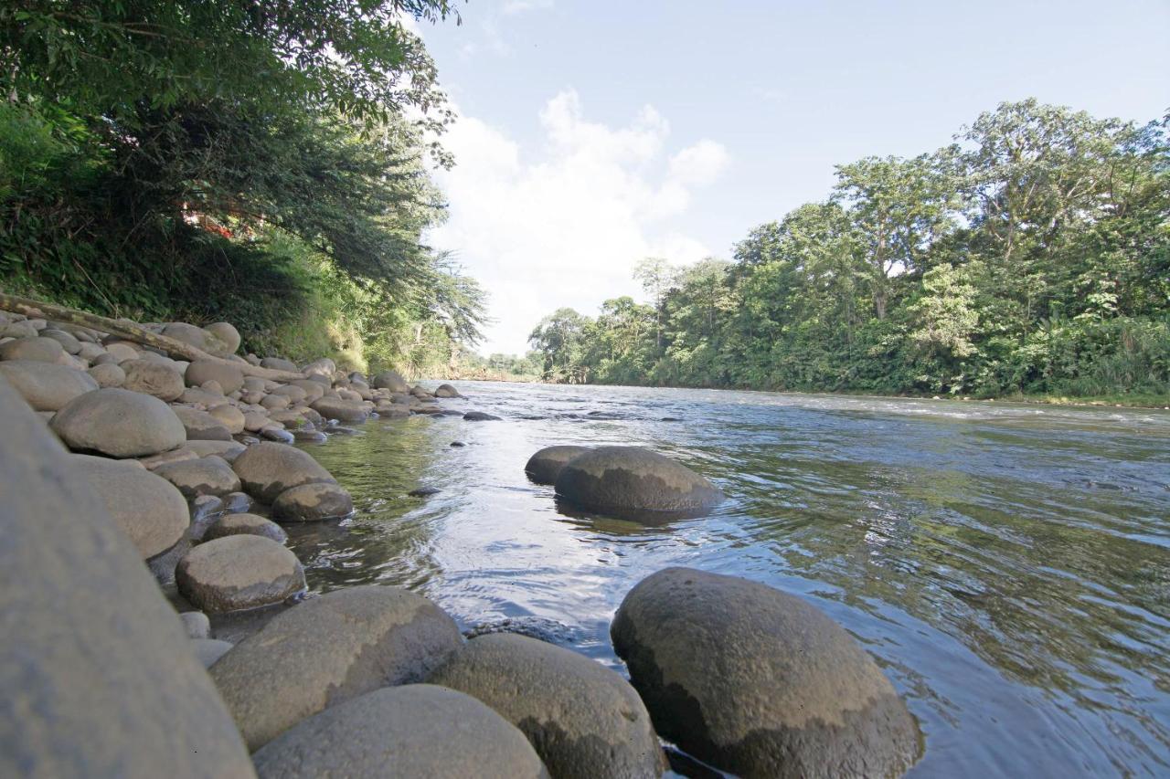 Islas Del Rio Hostel Tirimbina 外观 照片